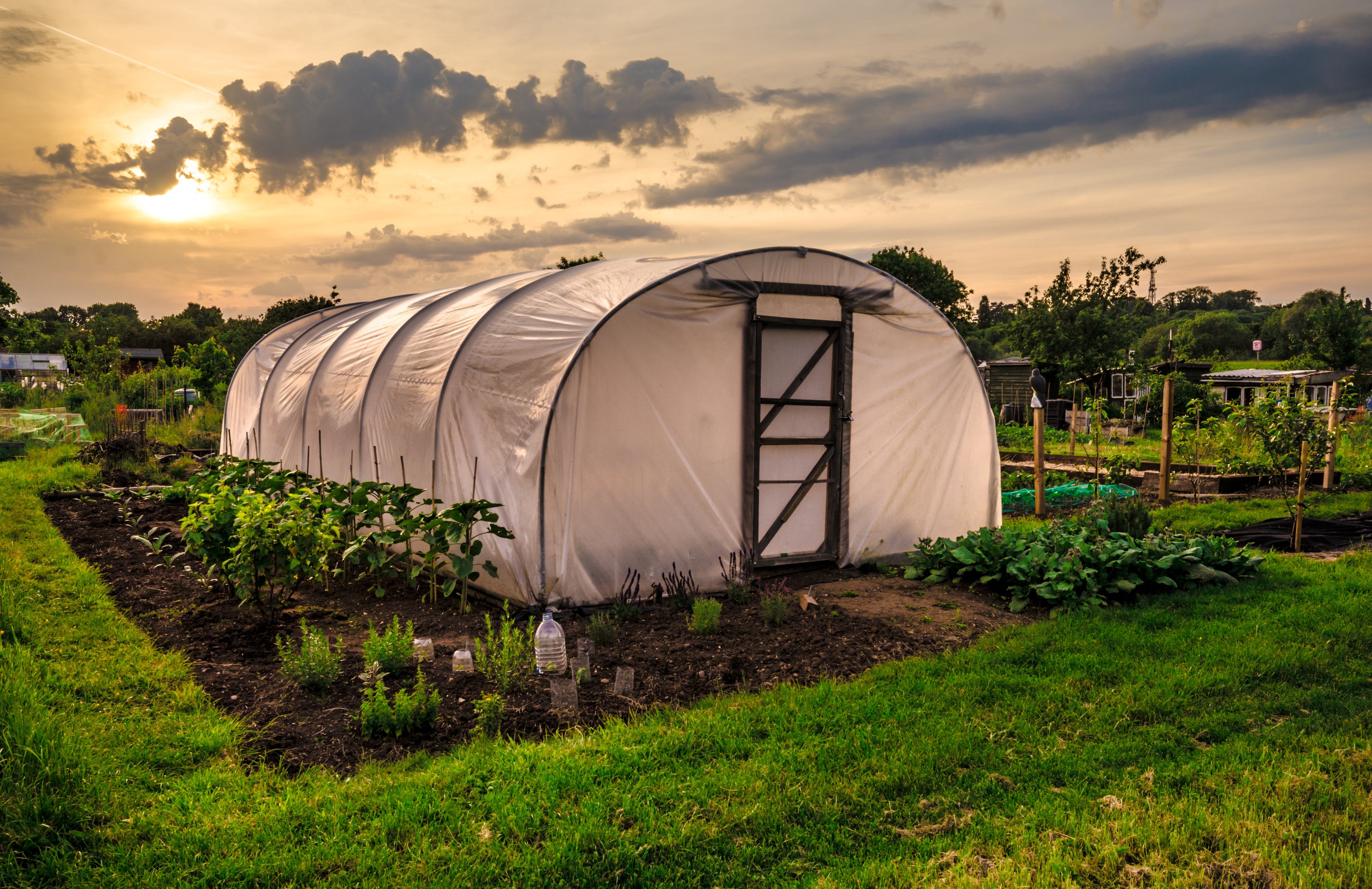 Agriculture