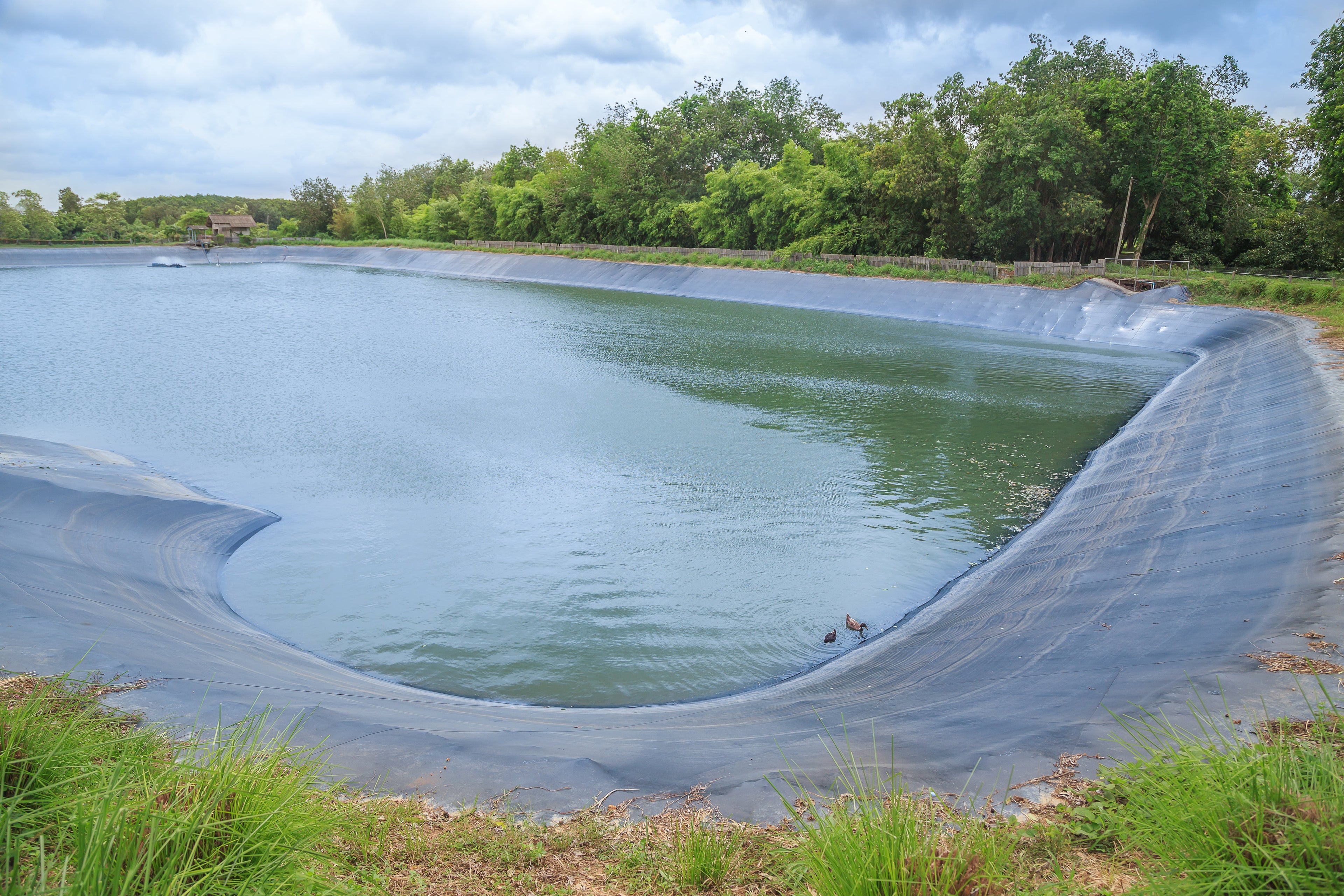 Pondliner