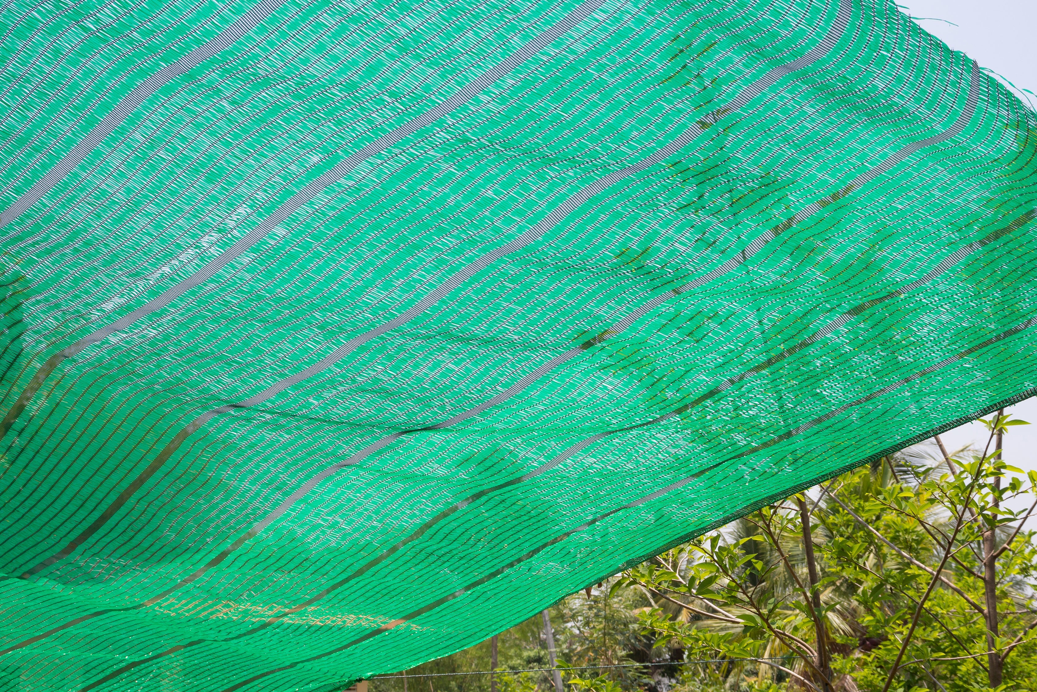 Shade Nets