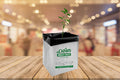 Grow Bags