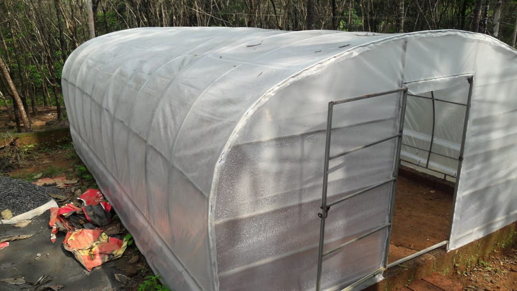 Solar-Shield 120 GSM Clear Farm Polyhouse Film – Multi-Layer Cross-Laminated Greenhouse Drying Tarpaulin (IS 14611 BIS Approved)
