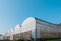 Greenhouse Cover Tarpaulin