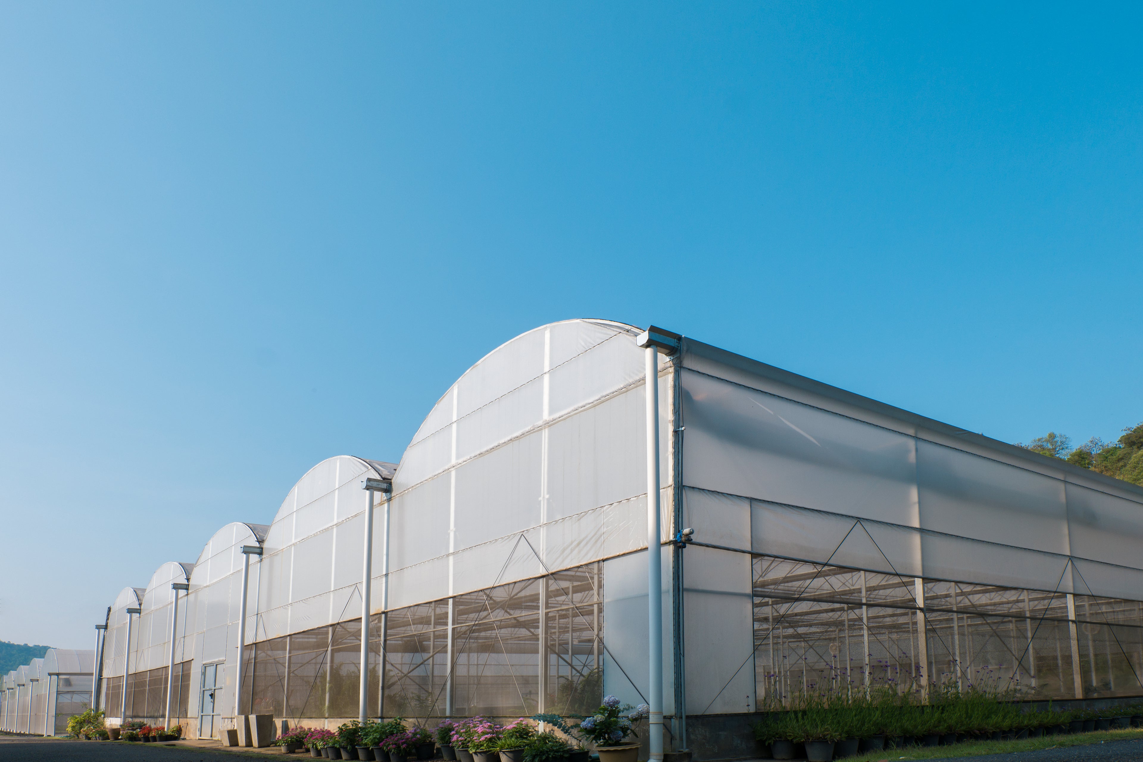 Greenhouse Cover Tarpaulin