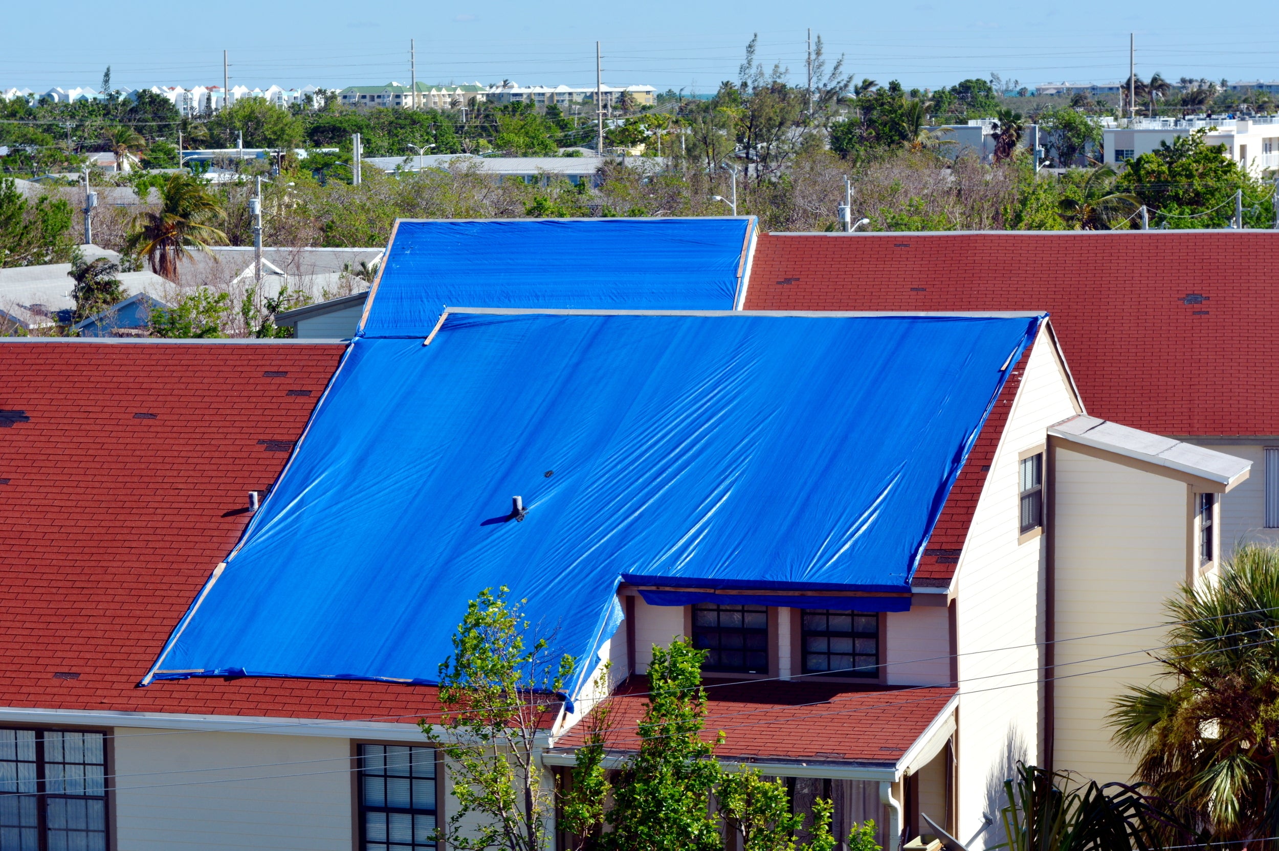 Heavy-Duty Roof Protection Tarpaulin