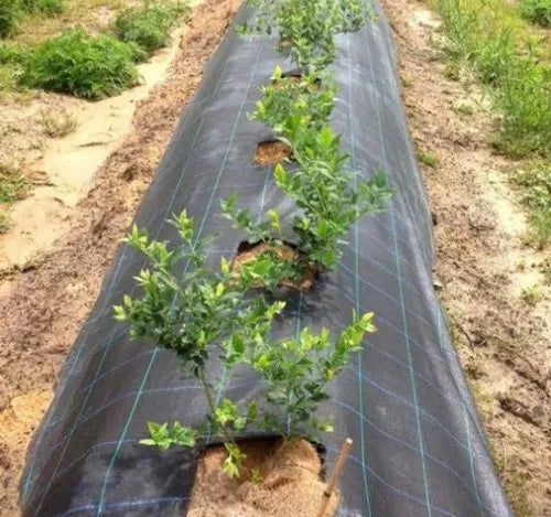 Heavy-Duty 100 GSM UV-Stabilized Weed Control Mat – Woven Geotextile Ground Cover Membrane for Agriculture, Nurseries & Landscaping